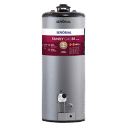 TERMOTANQUE SEÑORIAL FAMILY TSZP1