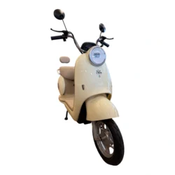 BICI MOTO NAPOLES ELÉCTRICA